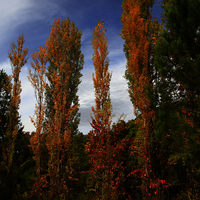 TERMINADO TALLER DE FOTOGRAFIA DE OTOÑO