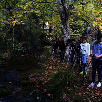 TERMINADO TALLER DE FOTOGRAFIA DE OTOÑO