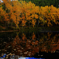 TERMINADO TALLER DE FOTOGRAFIA DE OTOÑO