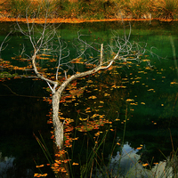 TERMINADO TALLER DE FOTOGRAFIA DE OTOÑO