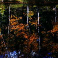 TERMINADO TALLER DE FOTOGRAFIA DE OTOÑO