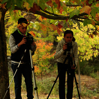 TERMINADO TALLER DE FOTOGRAFIA DE OTOÑO