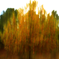 TERMINADO TALLER DE FOTOGRAFIA DE OTOÑO